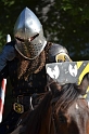 SFaire_2012 (1003)